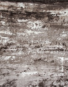 Синтетичний килим JAMILA GOLD 15634 , SAND BEIGE - высокое качество по лучшей цене в Украине.